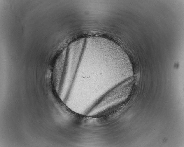 X0000090760472200708172051