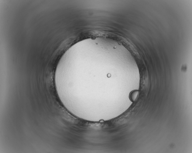 X0000090760473200708172051