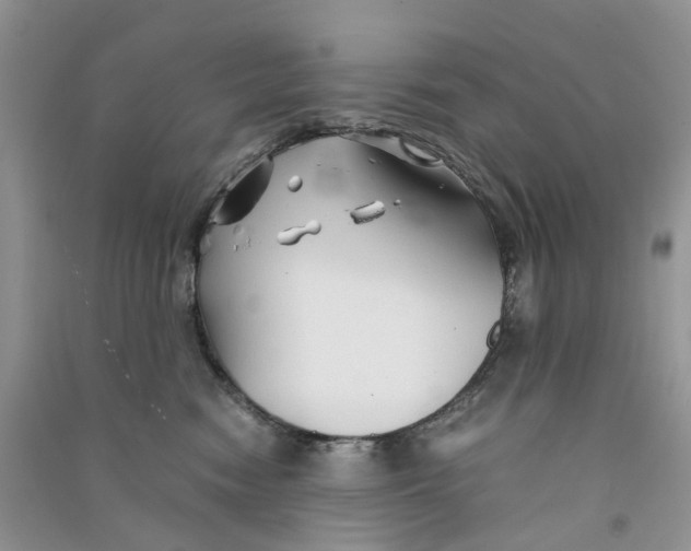 X0000090760474200708172051