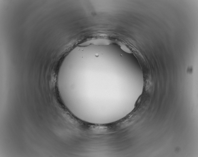 X0000090760476200708172051