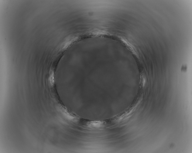 X0000090760479200708172051