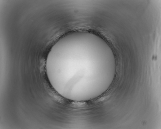 X0000090760480200708172051