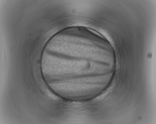 X0000090760481200708172051