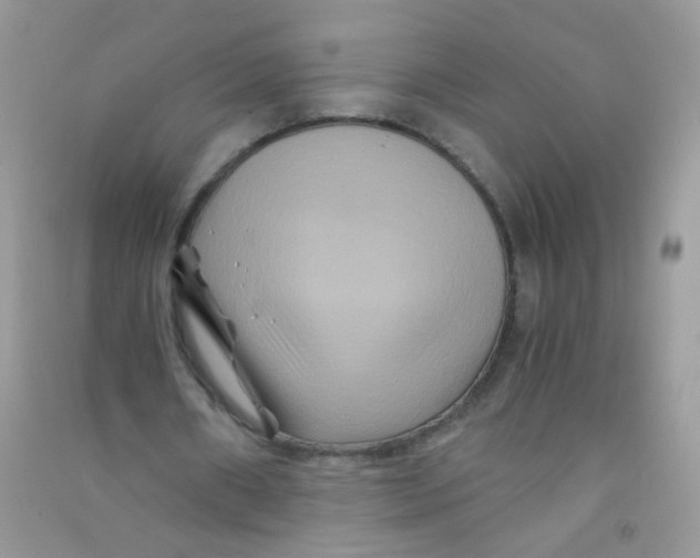 X0000090760482200708172051