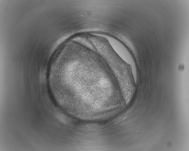 X0000090760483200708172051