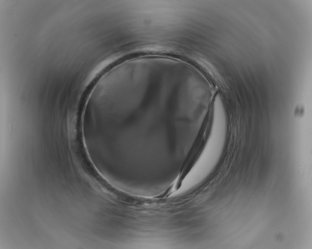 X0000090760484200708172051