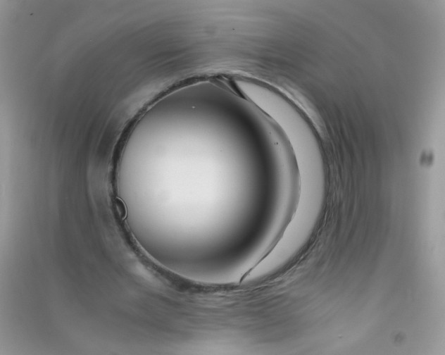 X0000090760485200708172051