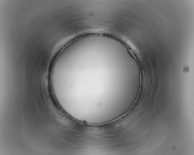 X0000090760486200708172051