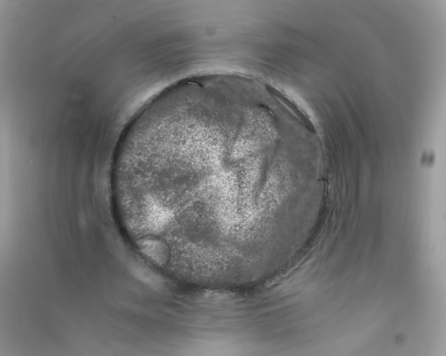 X0000090760487200708172051