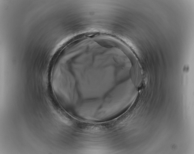 X0000090760488200708172051