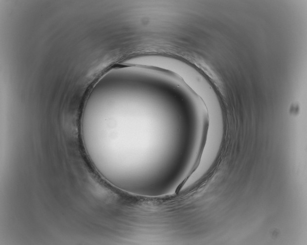 X0000090760489200708172051