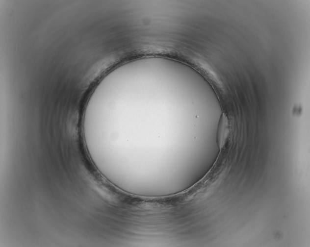 X0000090760490200708172051