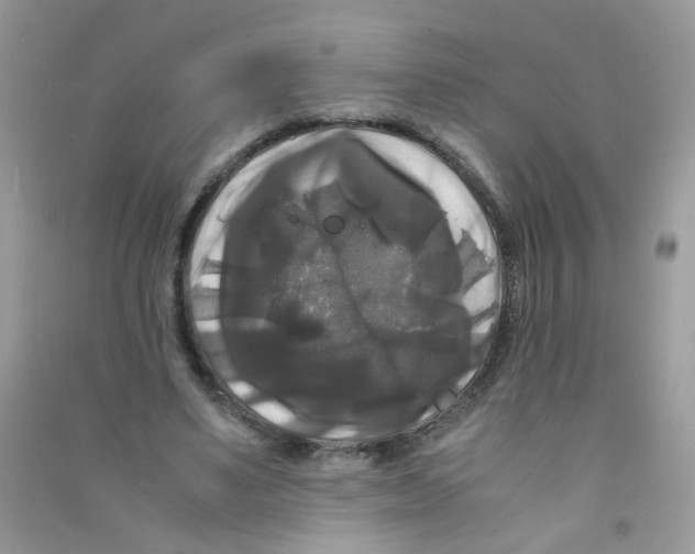 X0000090760491200708172051