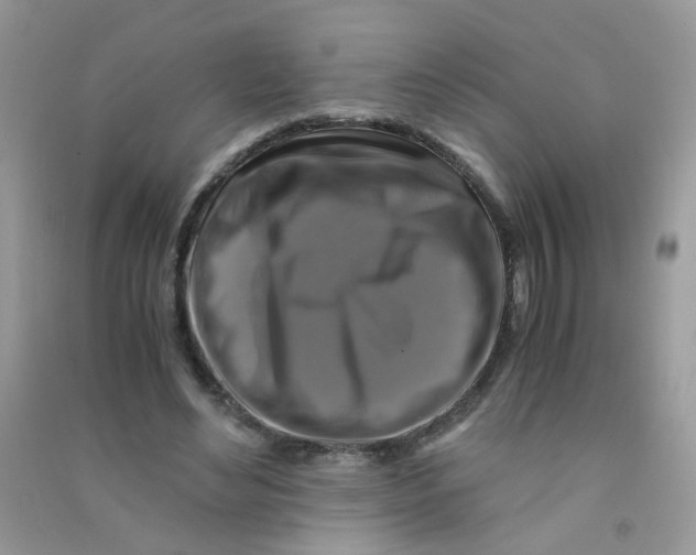 X0000090760492200708172051