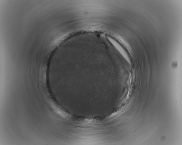 X0000090760493200708172051