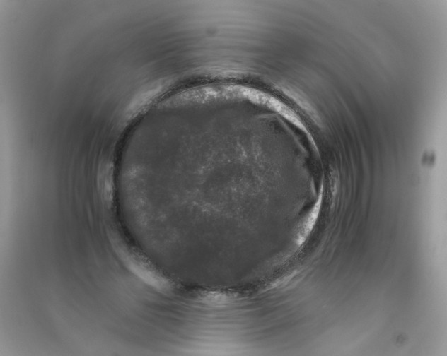 X0000090760494200708172051