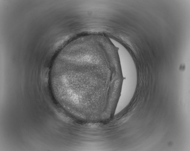 X0000090760495200708172051