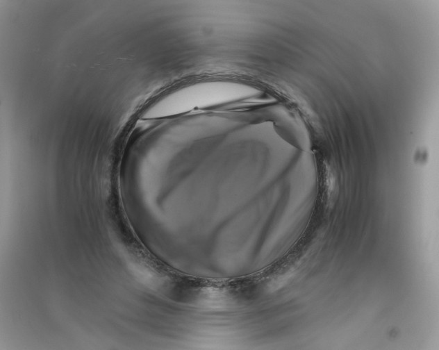 X0000090760496200708172051