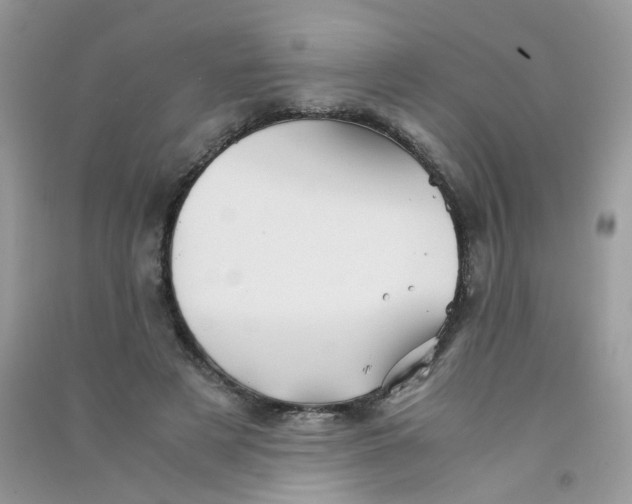 X0000090760497200708172051