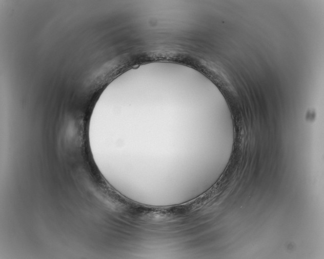 X0000090760498200708172051