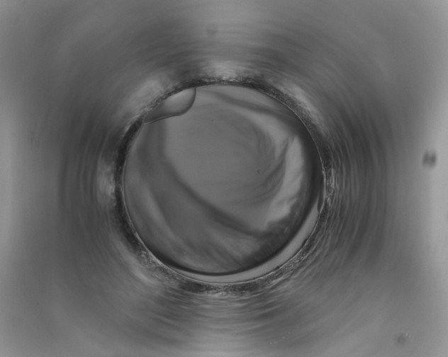 X0000090760500200708172051