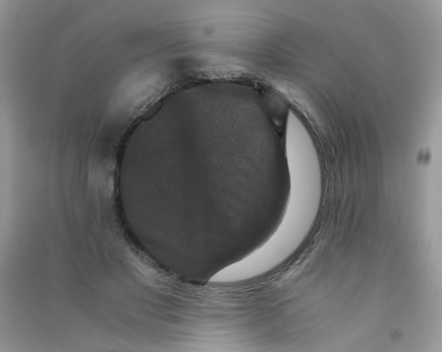 X0000090760501200708172051