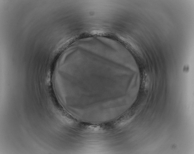 X0000090760502200708172051