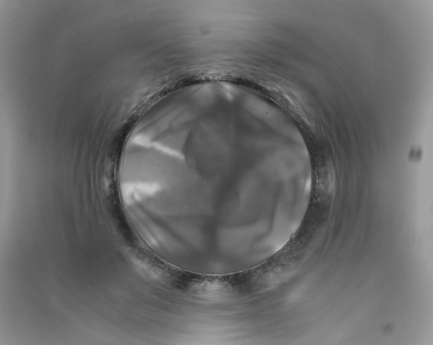 X0000090760503200708172051