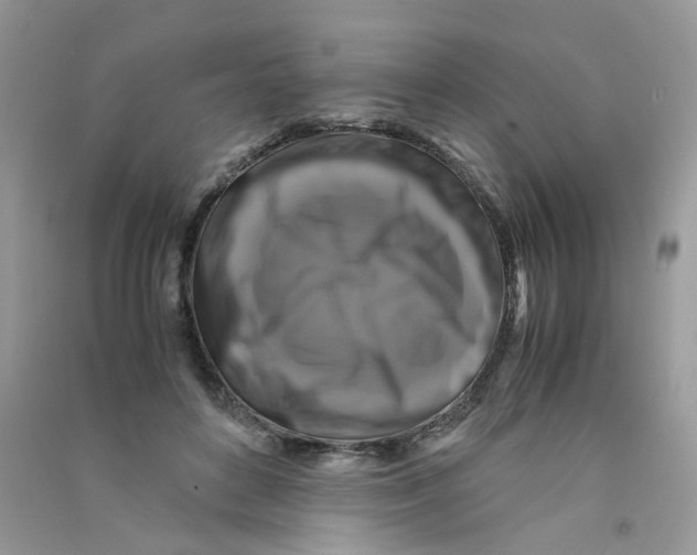 X0000090760504200708172051