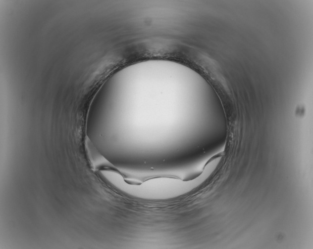 X0000090760505200708172050