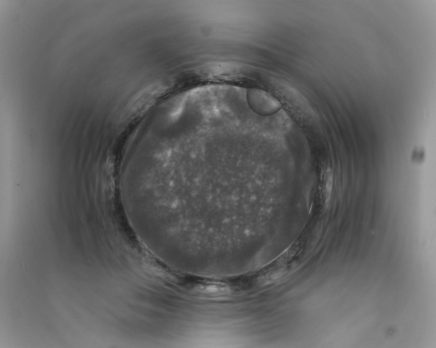 X0000090760506200708172050