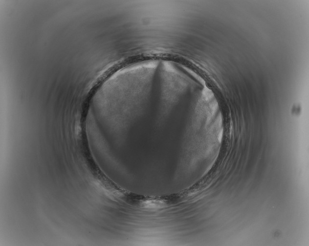 X0000090760508200708172050