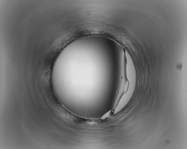 X0000090760509200708172050