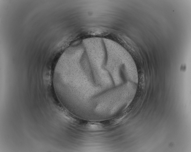 X0000090760510200708172050