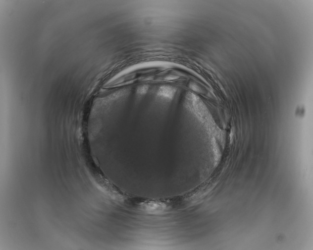 X0000090760512200708172050