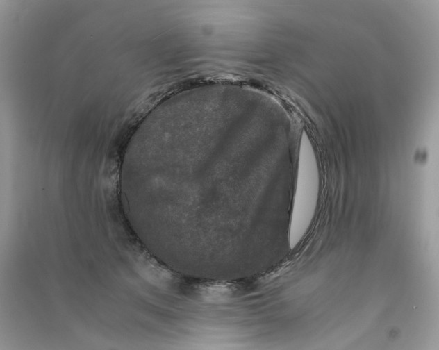 X0000090760513200708172050