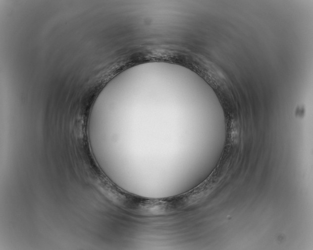 X0000090760514200708172050