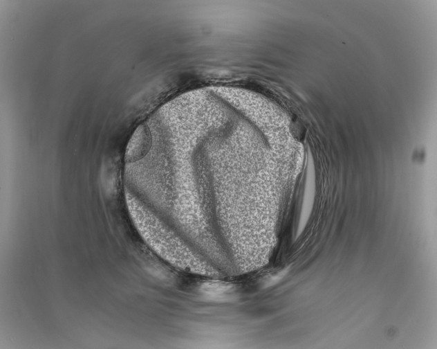 X0000090760515200708172050