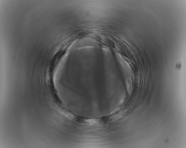 X0000090760516200708172050