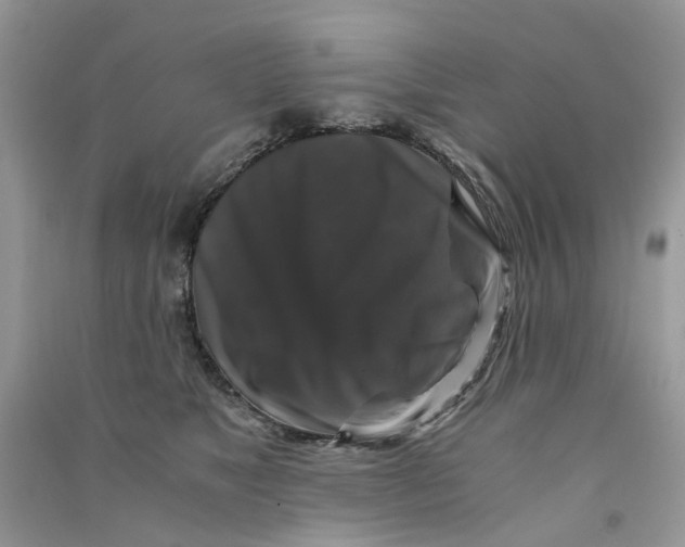 X0000090760517200708172050