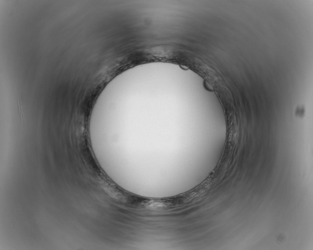 X0000090760518200708172050