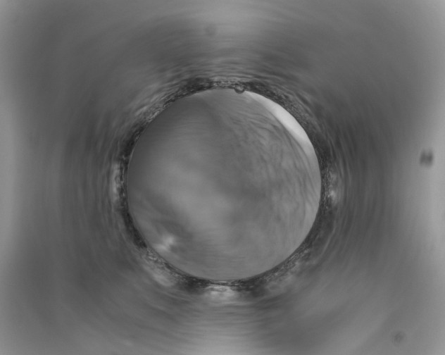 X0000090760519200708172050