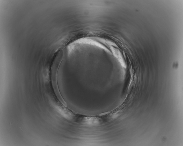 X0000090760520200708172050