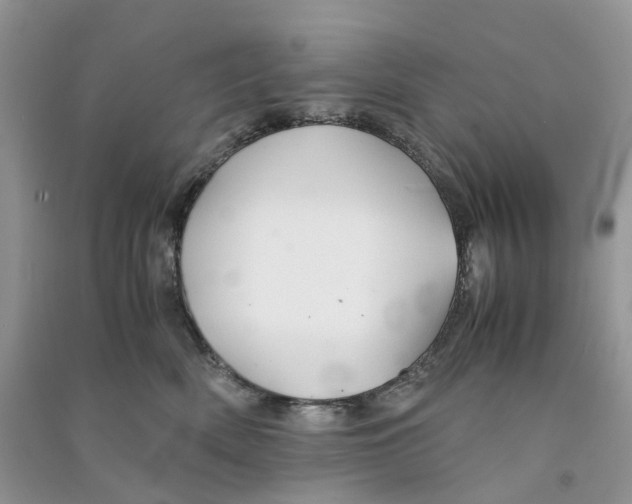 X0000090760522200708172050