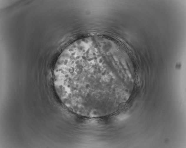 X0000090760523200708172050