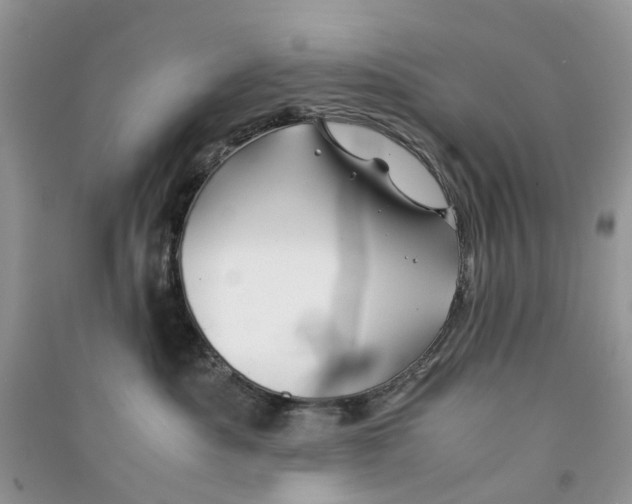 X0000090760525200708172050