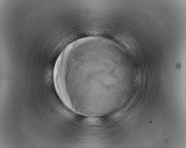 X0000090760526200708172050