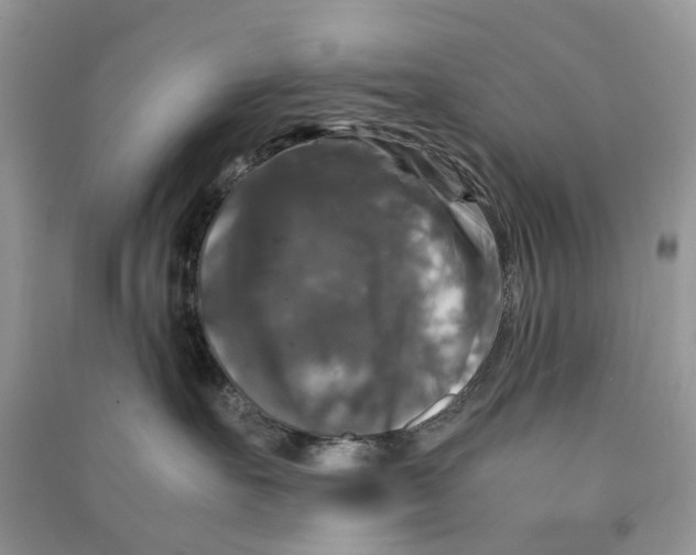 X0000090760527200708172050