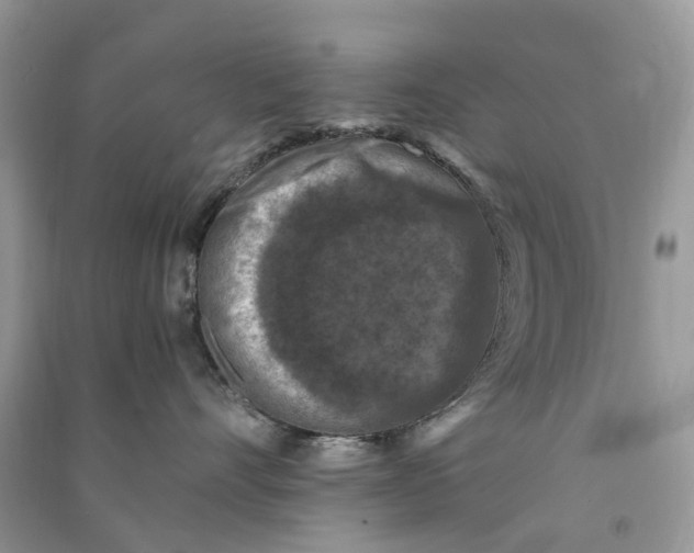 X0000090760528200708172050