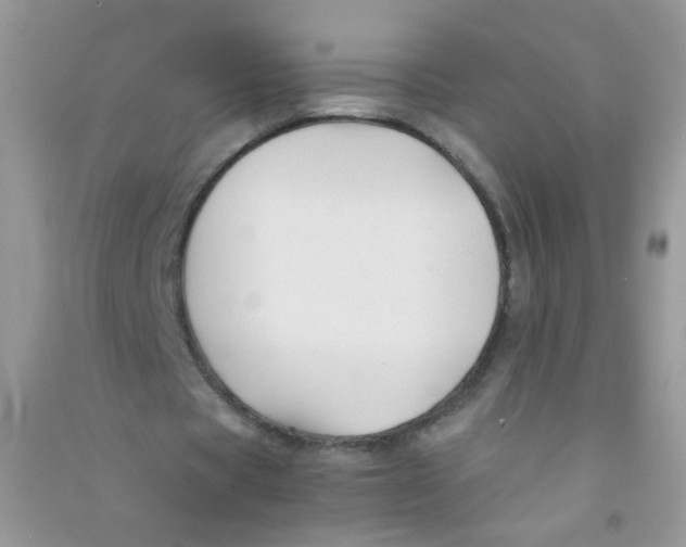 X0000090760529200708172050